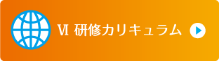 Ⅵ 研修カリキュラム